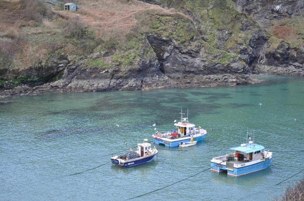 The Gallery Port Isaac Exterior foto